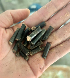 laboratorio bioenergia