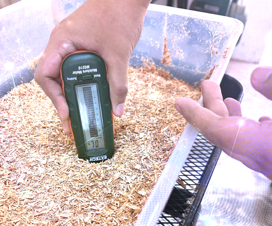 laboratorio dacbiol ujat tabasco