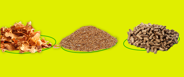 procesamiento fisico de la biomasa