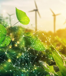 laboratorio de bionergia de la ujat