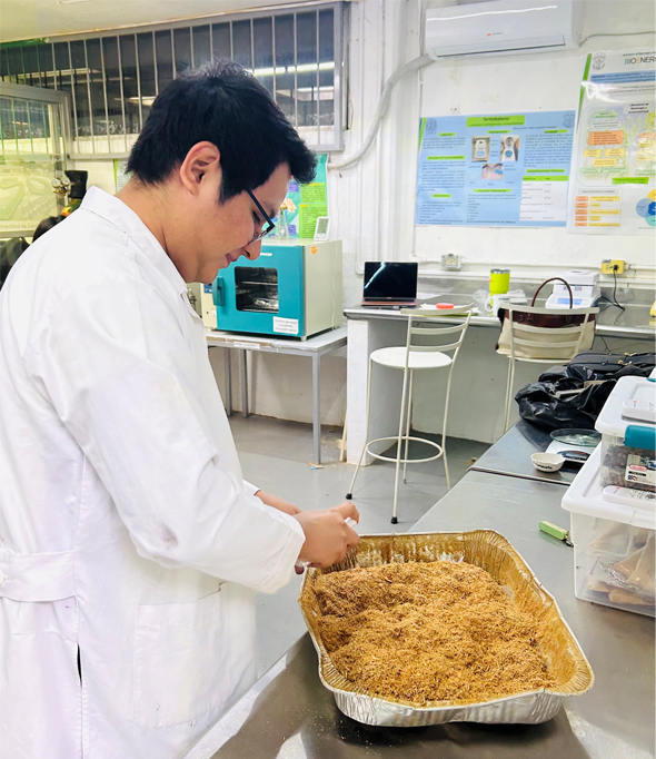 laboratorio de bionergia